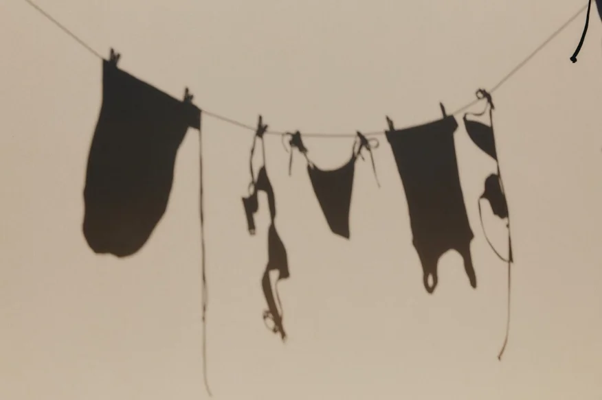 lingerie pinned along a clothesline