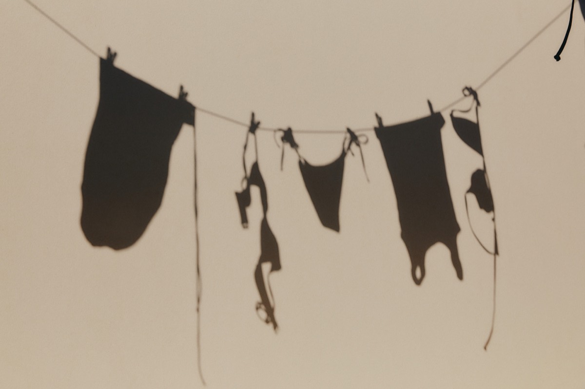 lingerie pinned along a clothesline against an evening sky